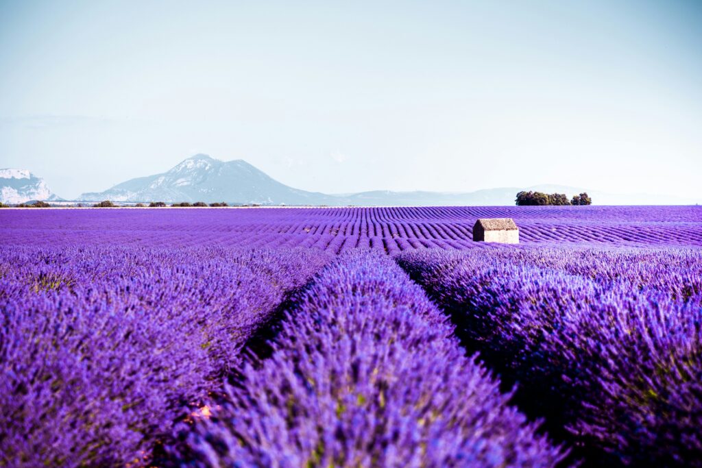 Provence